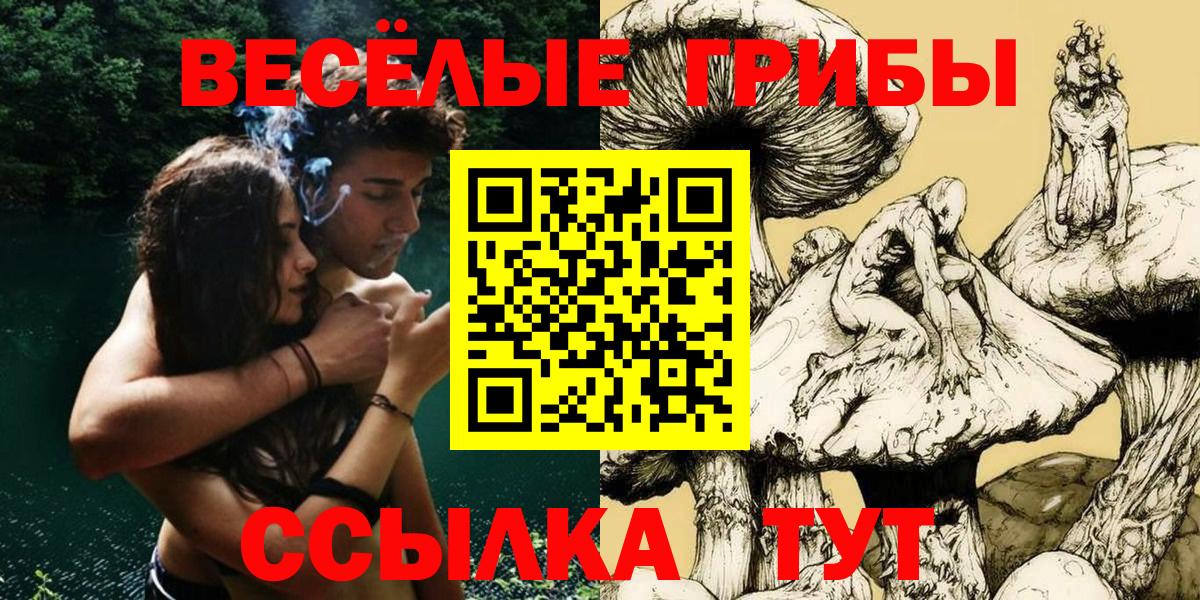Галлюциногенные грибы Magic Shrooms  Вход с VPN  Самара  Псилоцибиновые грибы MAGIC MUSHROOMS 