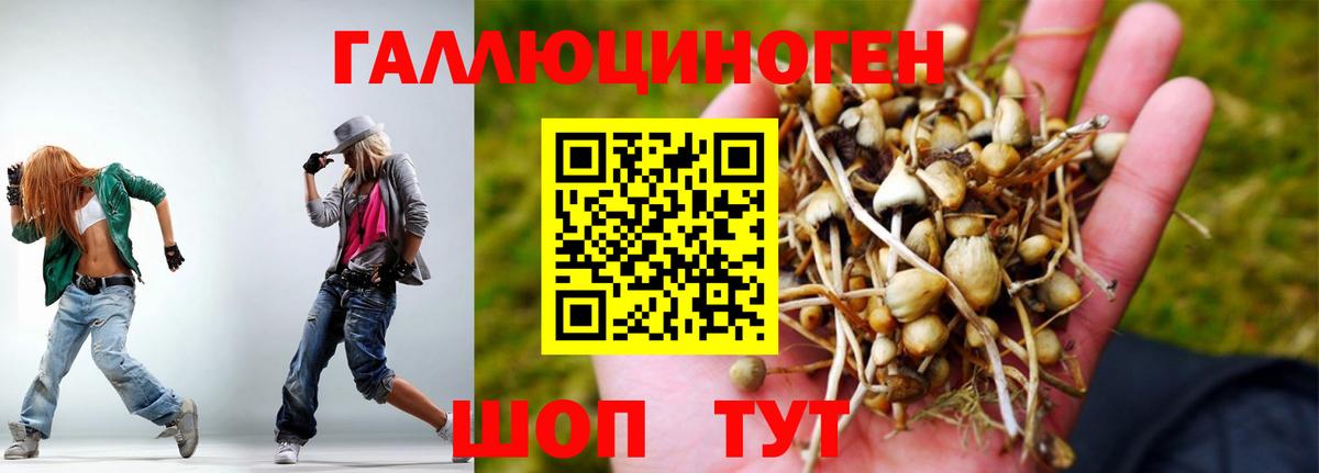 Галлюциногенные грибы Cubensis Самара